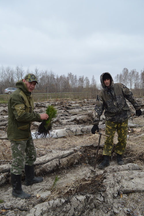 Погода в армизонское тюменской обл