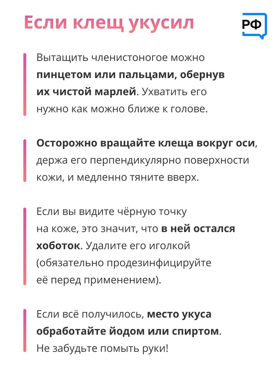 ☀️Отправляете детей на летний отдых в лагерь или к бабушке в деревню? |  03.05.2023 | Армизонское - БезФормата