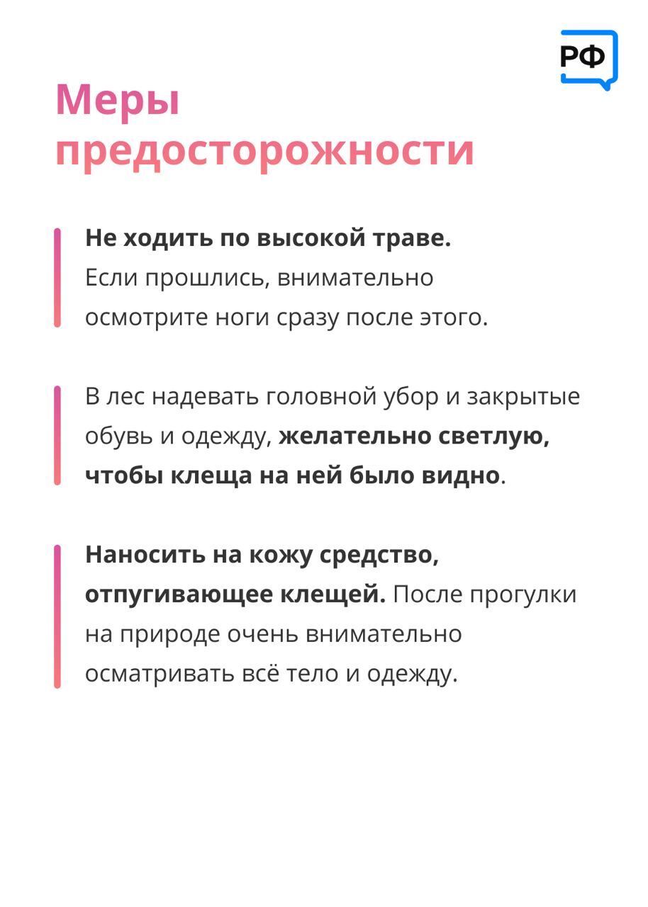 ☀️Отправляете детей на летний отдых в лагерь или к бабушке в деревню? |  03.05.2023 | Армизонское - БезФормата