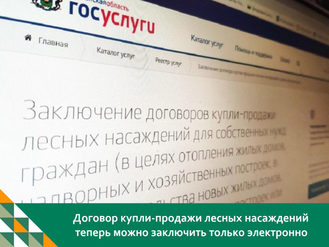 В Тюменской области продолжается перевод массовых социально значимых услуг  в электронный формат. - Новости Армизонского района