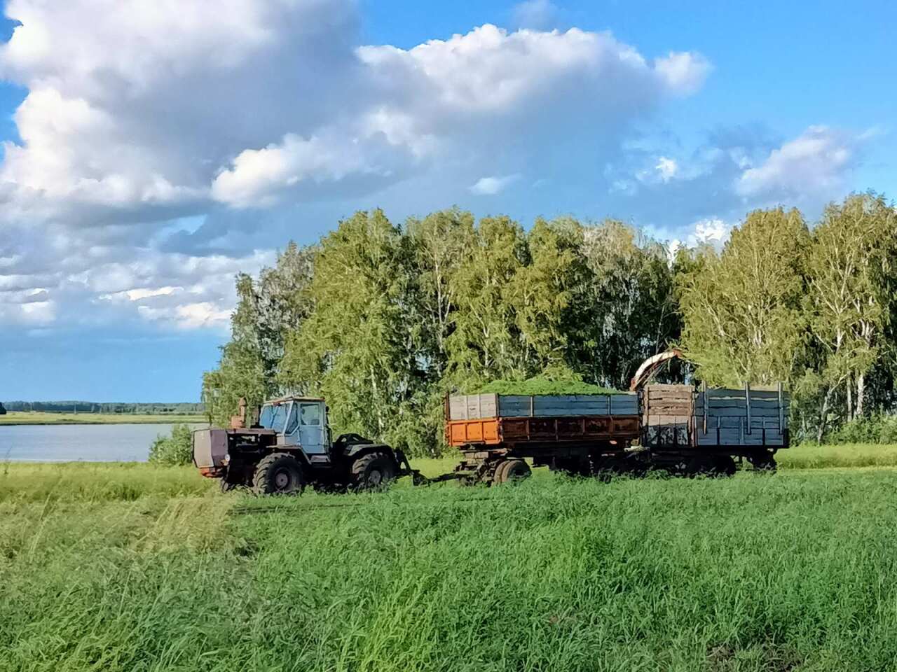 Погода в армизонское тюменской обл