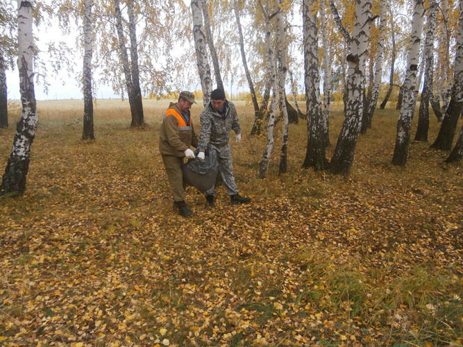 Погода в армизонском на месяц