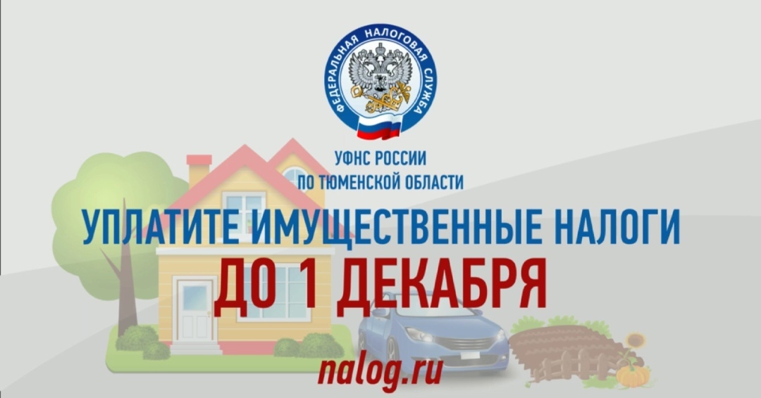 срок уплаты имущественных налогов в 2020 году физическими лицами. поля платежного поручения 2021. уплати налоги до 1 декабря. имущественные налоги. картинка не упусти 1 декабря налоговая служба.