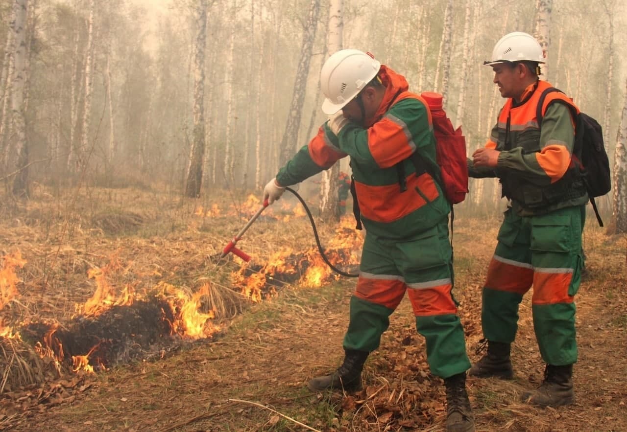 Пожары в тюменской области за последние сутки лесные карта