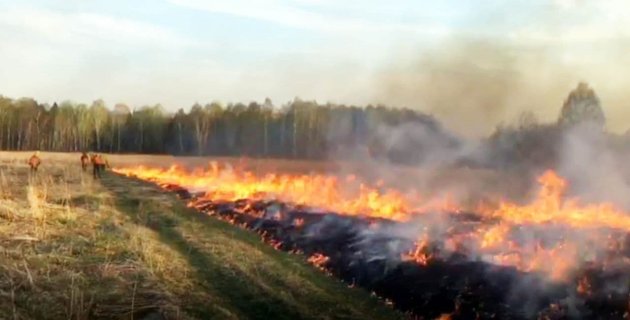 Фото пожаров в тюменской области